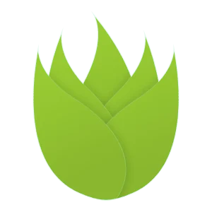 Online E-Consultation (30 Minutes)